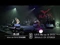 黒夢 / 黒と影 2014.1.29 Live at 日本武道館  SPOT