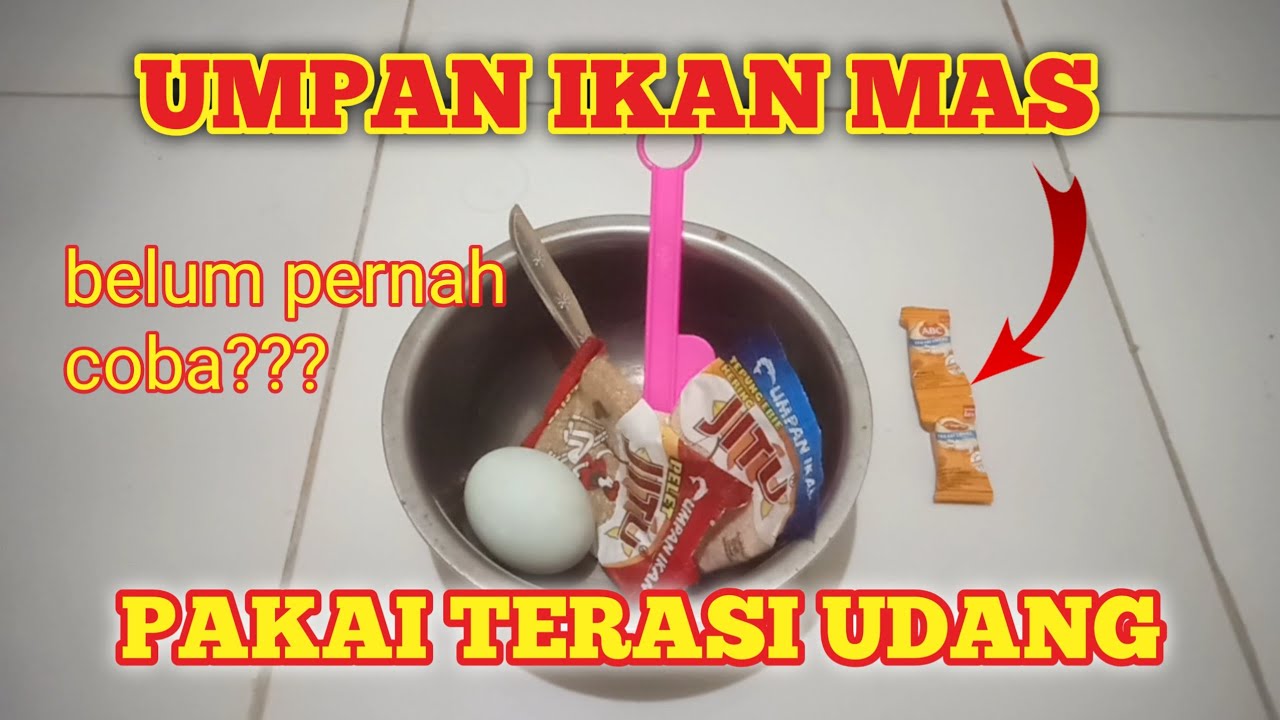UMPAN IKAN MAS TERASI UDANG