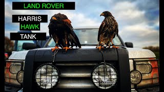 Land Rover discovery 3 LR3, for falconry and hunting. by Hawk Riders 1,278 views 3 years ago 6 minutes, 50 seconds