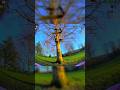 whooping around the park... #fpvfreestyle #tinywhoop #hdzero #betafpv #meteor75 #fpvflow