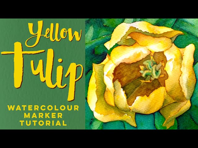 Painting a Purple Tulip with watercolour markers - Aquamarker tutorial 