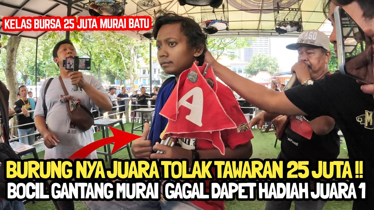 BOCIL GANTANG MURAI BATU TOLAK TAWARAN 25 JUTA 😱 AKU GAGAL BAWA PULANG HADIAH JUARA SATU❗😭