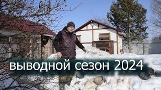 ЛЮБОВЬ ПОБЕДИЛА. Первая встреча 2024 года. Мои спортивные голуби.