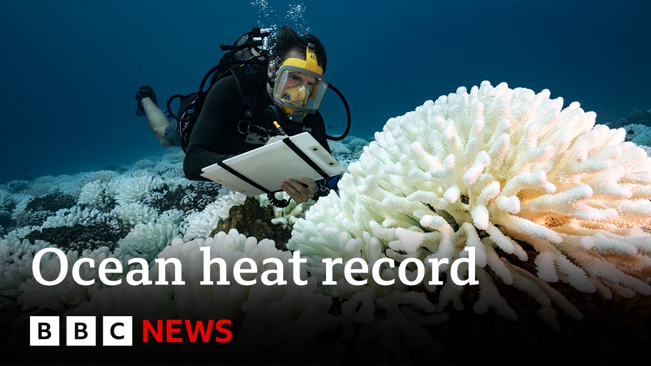 Oceans record hottest ever recorded temperature – BBC News