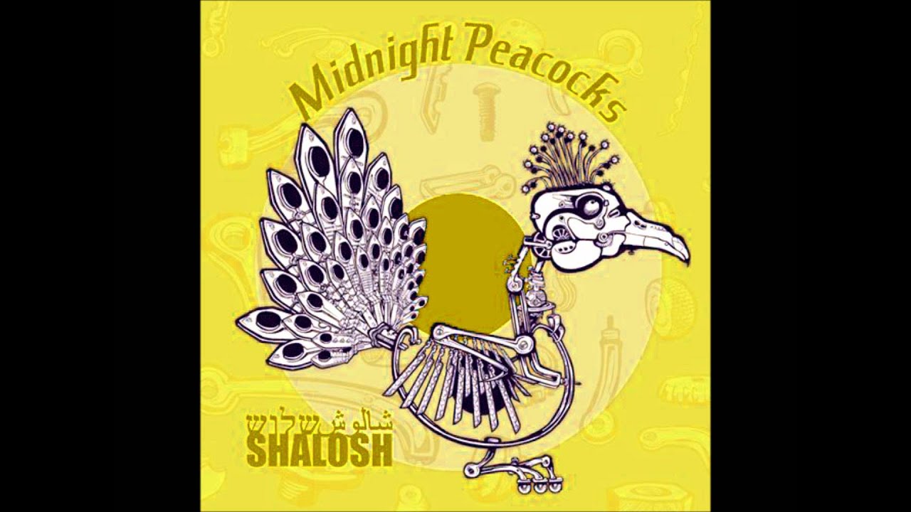 Midnight Peacocks - Tamnoon [Shalosh, 2008]
