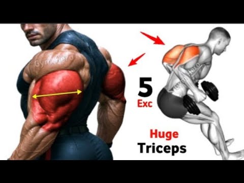 5 Best Triceps Exercises for Bigger Arms - Triceps Workout #like # ...