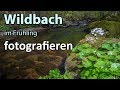 Landschaftsfotografie: WILDBACH im Frühling