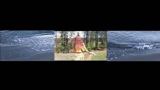 Our Planet -- Time Based Media Project #2