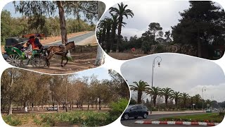 جولة  في طريق _ طبيعة المغرب الخلابة MOROCCO