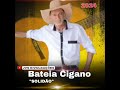 bateia Cigano 2024 - solidão