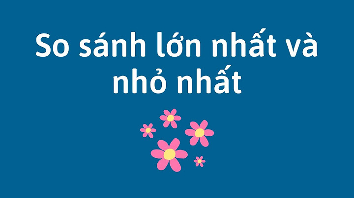 Hình ảnh so sánh to nhỏ năm 2024