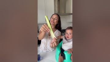 How Water Moves in Plants! - Water Science