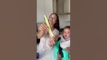 How Water Moves in Plants! - Water Science