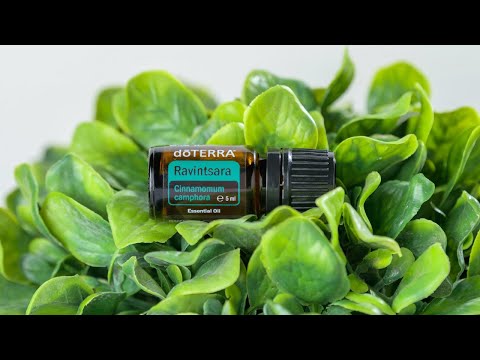 doTERRA Ravintsara (5ml) - (Translated Subtitles)