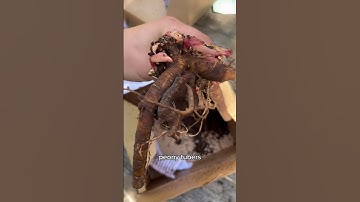 Super cool unboxing — check out this plant merch box!