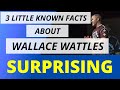 Wallace Wattles - 3 Little Known Facts You Probably Don't Know About Wallace Wattles