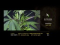 Super Bud - Green House Grow Sessions