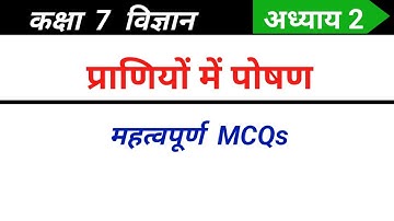 Class 7 Science Chapter 2 MCQ in Hindi | Nutrition in Animals Class 7 Science MCQ | 7th Science MCQ
