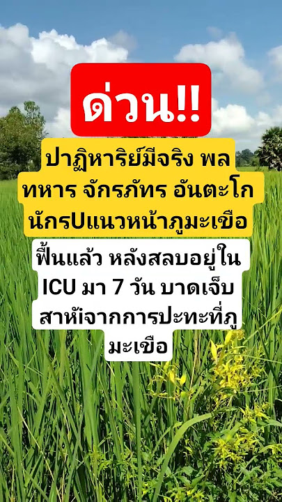 #news #automobile #memes #duet #funny #funnyshorts #funnyvideo #funnycomedy #funnymemes #stereo3d