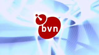 BVN Leader (2013)
