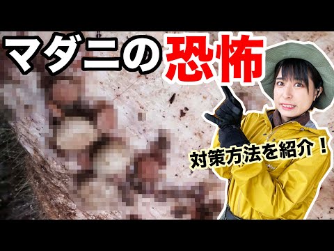 あなたは大丈夫？マダニの対策方法はコレ！【マダニに気を付けて！】