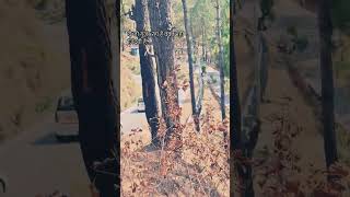 सफरनामा♥️ #travel #trending #viralvideo #shorts #mountains #zindagi #follow #viral #fyp follow me.