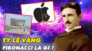Tỷ Lệ Vàng & Dãy Số Hoàn Hảo Của Vũ Trụ: Tỷ Lệ Logo Apple Chỉ Là Sự Trùng Hợp ?