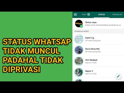 Status WhatsApp Tidak Muncul Padahal Tidak Di Privasi ...