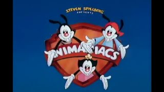 Animaniacs Sing-Along Intro But It Has The 2020 Remix