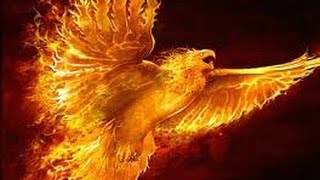 Un Phoenix Renait De Ses Cendres Youtube