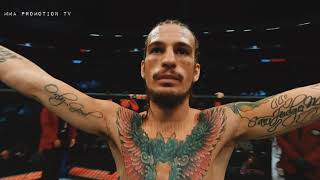 THE BIGGEST UFC STAR RIGHT NOW - SUGAR SEAN O'MALLEY HIGHLIGHTS [HD]