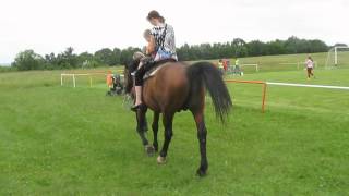 Mvi 1290 Den Deti V Remety Konik 1