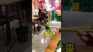 【旺仔很忙Wangzai Is Busy🐶】是谁说的狗不嫌家贫？Who Says Dogs Are Loyal...