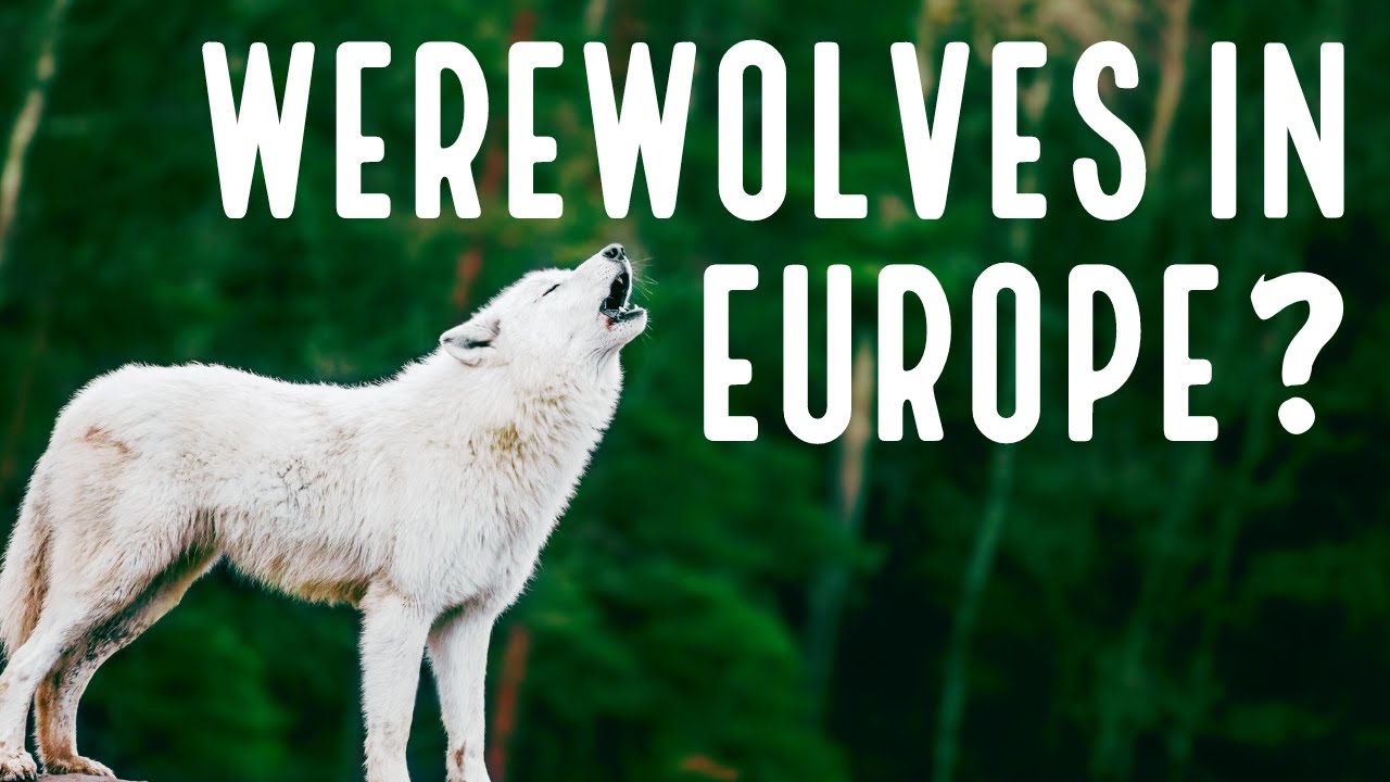 Peter Stumpp, The Werewolf of Bedburg