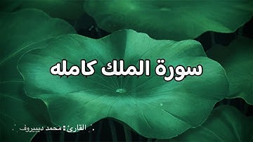 استرخاء ، سورة الملك كاملة قراءة مريحة للبال مع صوت المطر 🌧️ ☔️