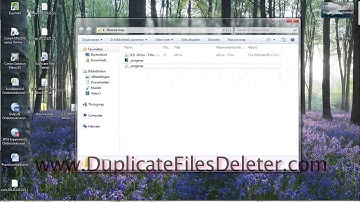 Remove Duplicate Files and Save Disk Space. DuplicateFilesDeleter.com