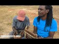 Kubara Mwana Kubverana On Karimba Mudoko And Matepe Kubara Mwana Kubverana On Karimba Mudoko And Matepe