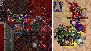 Death-Testing New Mage | 2026 Tibia Test Server Vocation Rebalance | MS 224