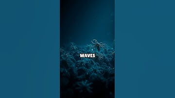 Brain Snacks: Delicious Trivia and Fascinating Facts!