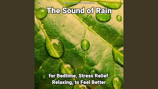 The Sound of Rain Pt. 14