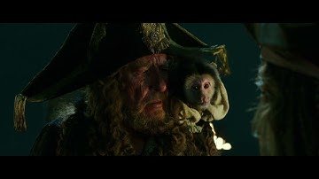 Every time Jack Sparrow said monkey