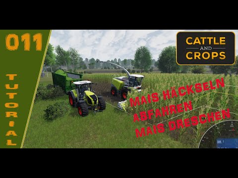 Wir beleiben stecken xD! - Tutorial - Mais häckseln und abfahren! - Bovini e colture - 011