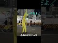 恐怖のリアルピカチュウ。