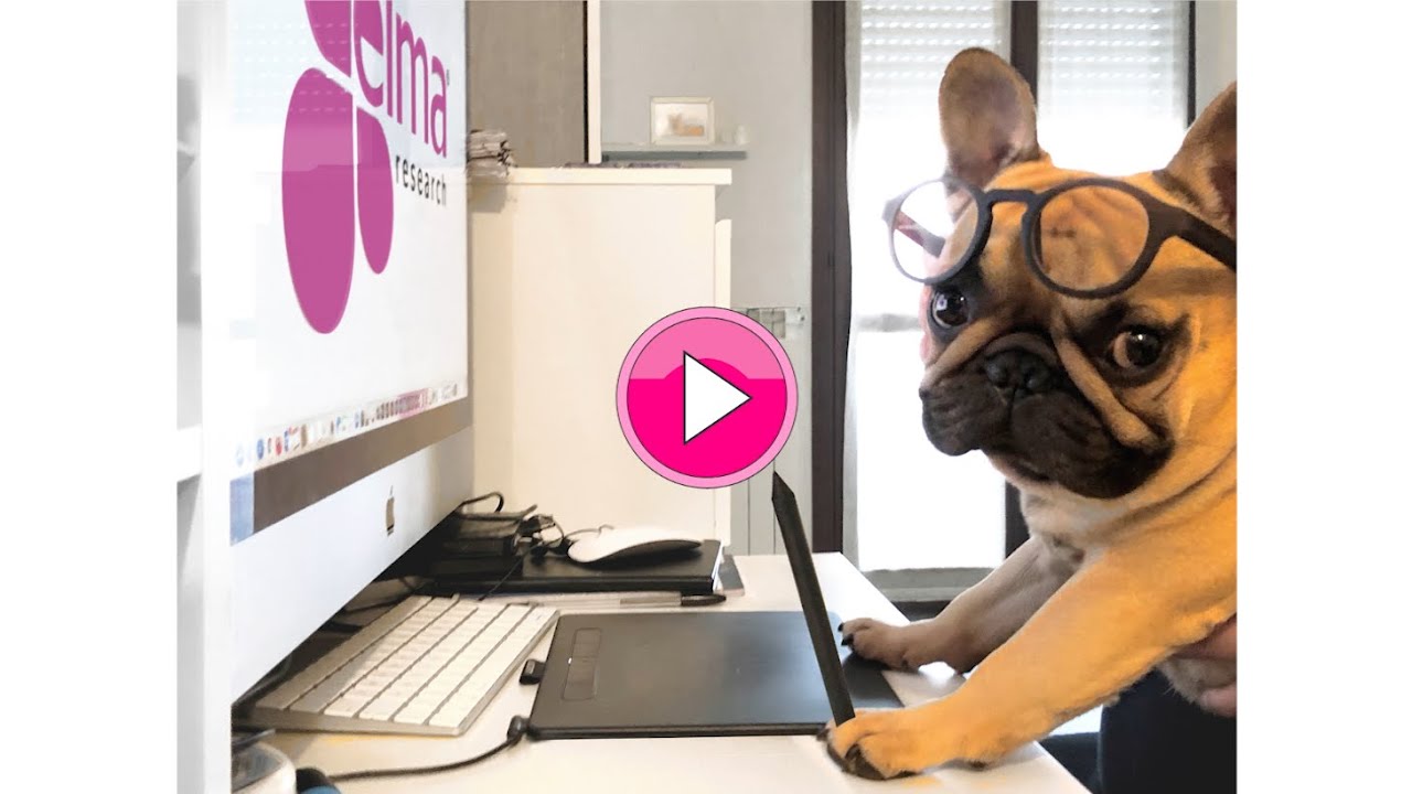 National Pet Day - 11th April