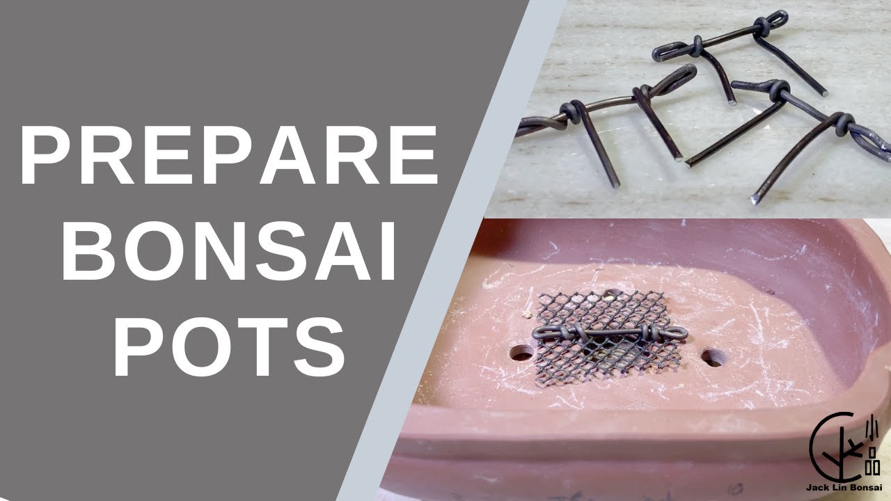 Bonsai Tutorial 2020 How To Prepare Bonsai Pots [Cover Drainage Holes]如何準備花盆[蓋住排水孔] YouTube