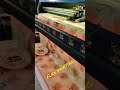 flex printing lover's