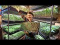 Grow Great Indoor Seedlings | Top 3 Tips