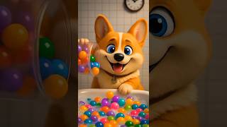 The puppy corgi buys a colorful soap to surprise her little girl owner. 🧼 #corgipuppy #petchannel