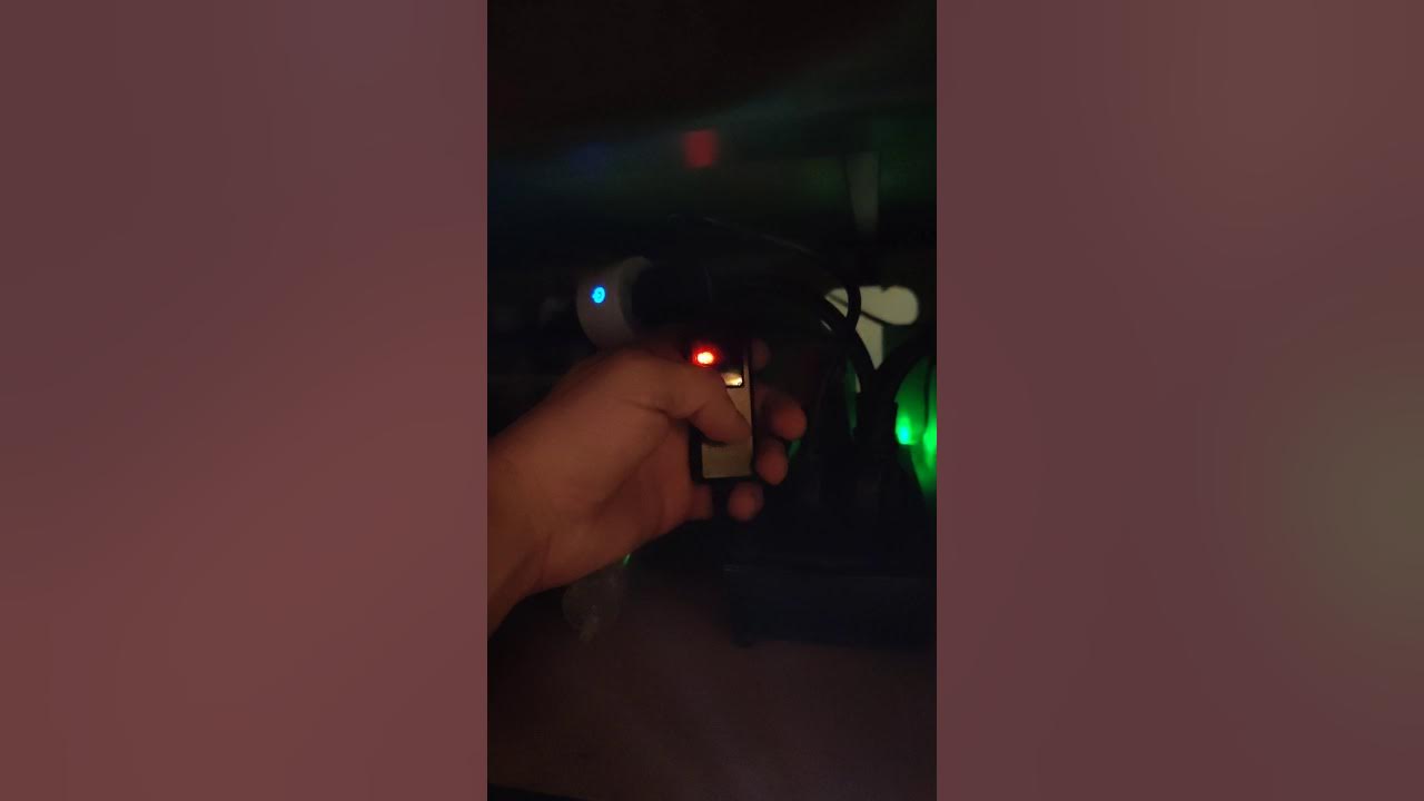 pulaco 25w aquarium heater initial install test YouTube