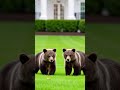 Thomas Jefferson two grizzlies #historyunhidden #hiddenhistory #crazyhistory